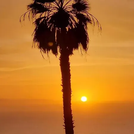 3a Penthouse Abrigos, Wi-fi And Terrace *